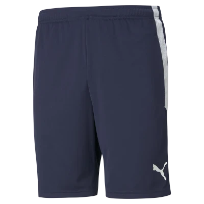 Billericay Town FC Academy Training Shorts
