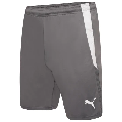 Puma Team Liga Shorts - Smoked Grey