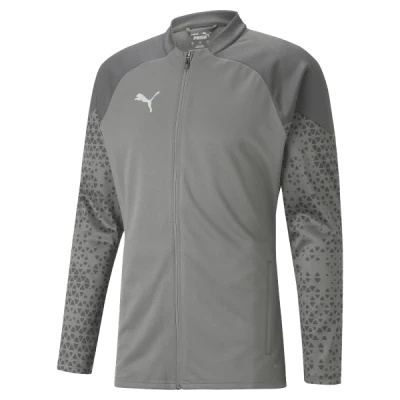Puma Team Cup Training Jacket - 2023 - Flat Medium Grey