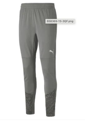 Puma Team Cup Training Pants 2023 - Flat Medium Grey